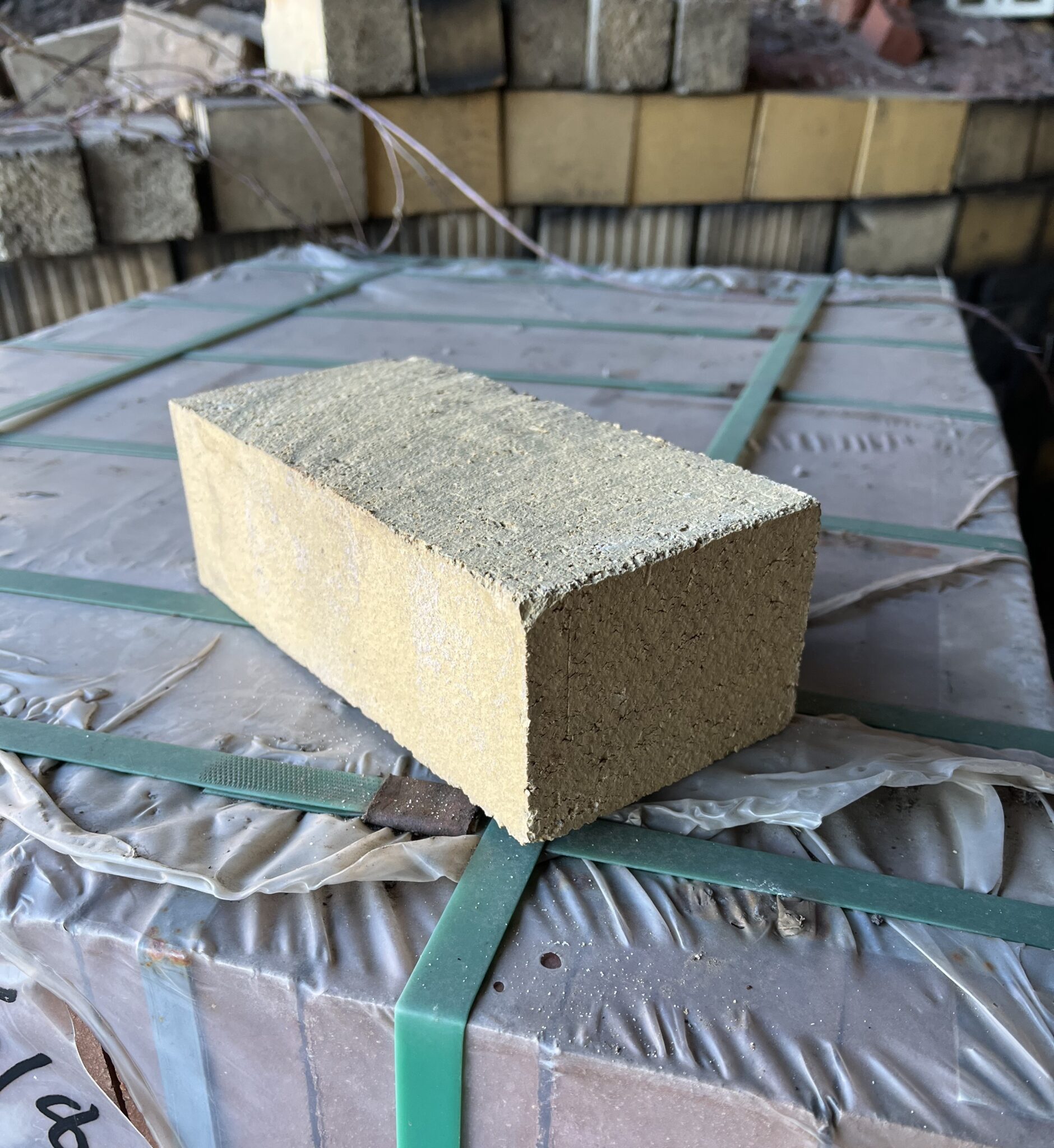 Standard Jumbo Solid Buff Continental Clay Company